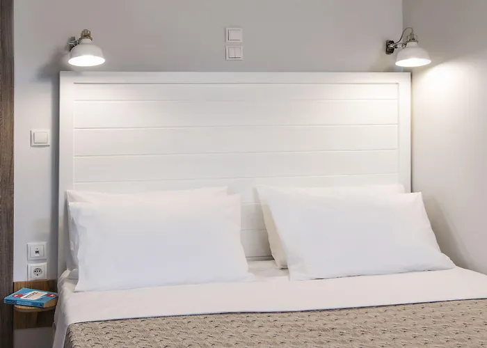 Downtown 酒店 纳夫普利翁